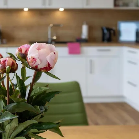 Lejlighed Penthouse 18 - Mit Dachterrasse Und Sauna *