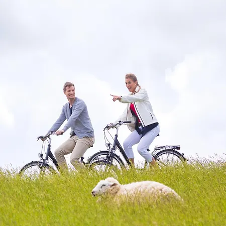 Penthouse 18 - Mit Dachterrasse Und Sauna * Dorum