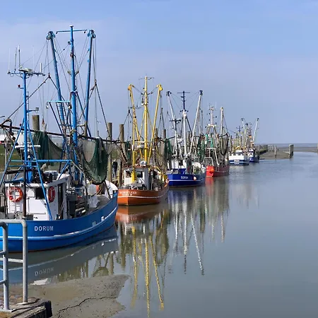 Penthouse 18 - Mit Dachterrasse Und Sauna Apartment Dorum