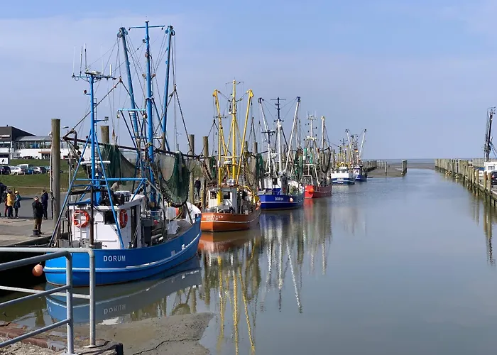 Penthouse 18 - Mit Dachterrasse Und Sauna דירה דורום